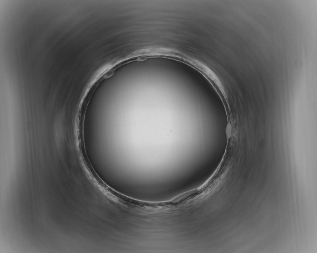 X0000116650997200912141252