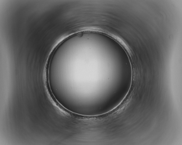 X0000116650999200912141252