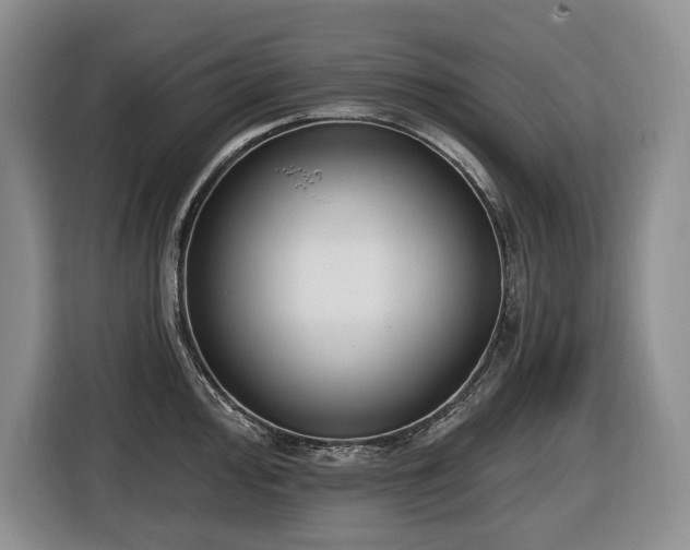 X0000116651000200912141252