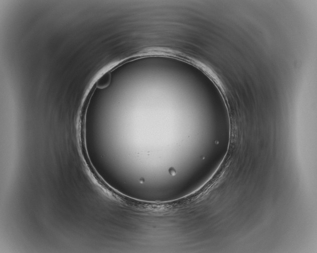 X0000116651003200912141252