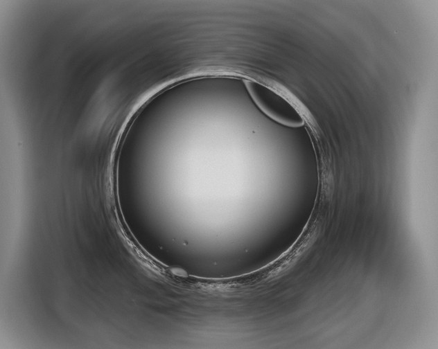 X0000116651004200912141252