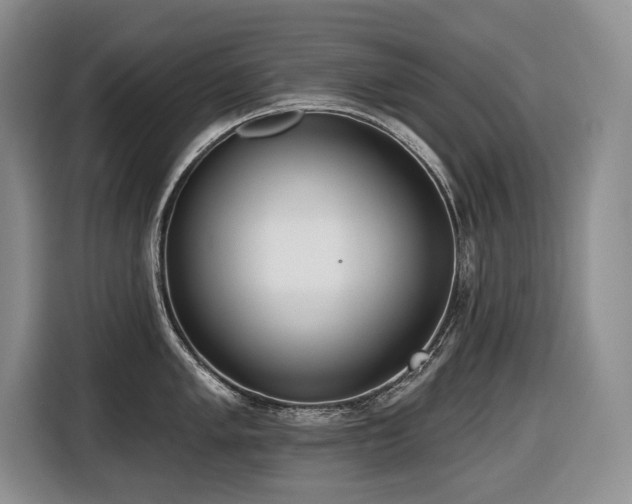 X0000116651005200912141251