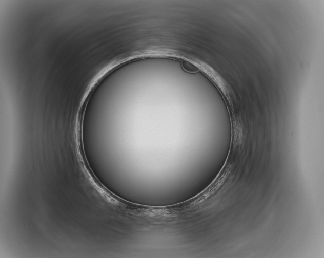 X0000116651006200912141251