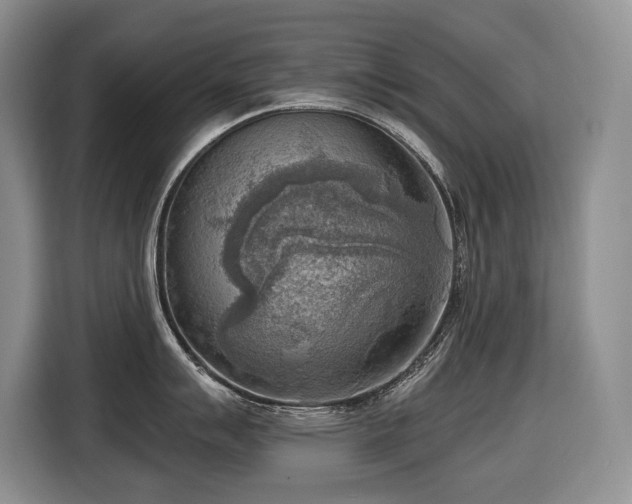 X0000116651007200912141251