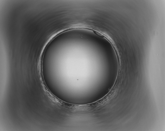 X0000116651008200912141251
