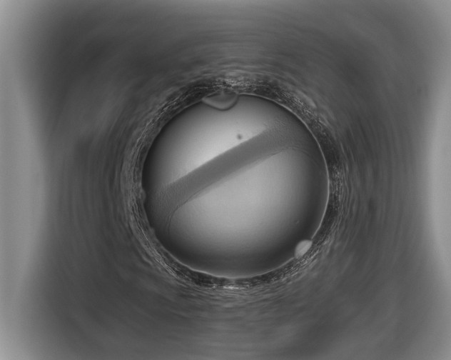X0000116651009200912141251