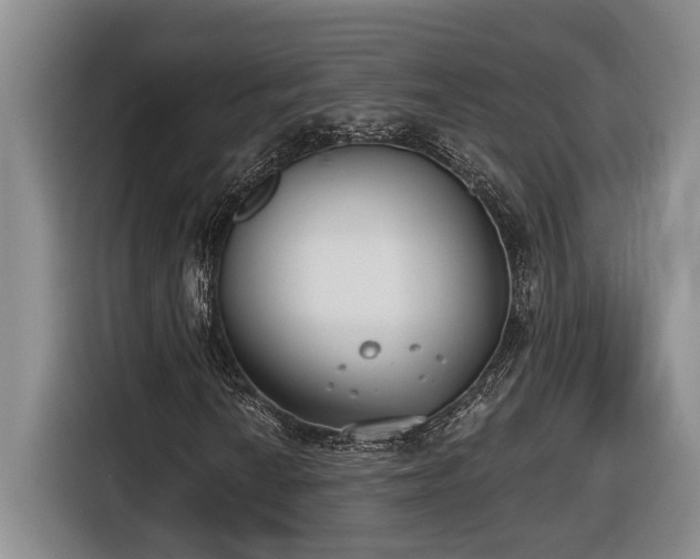 X0000116651010200912141251