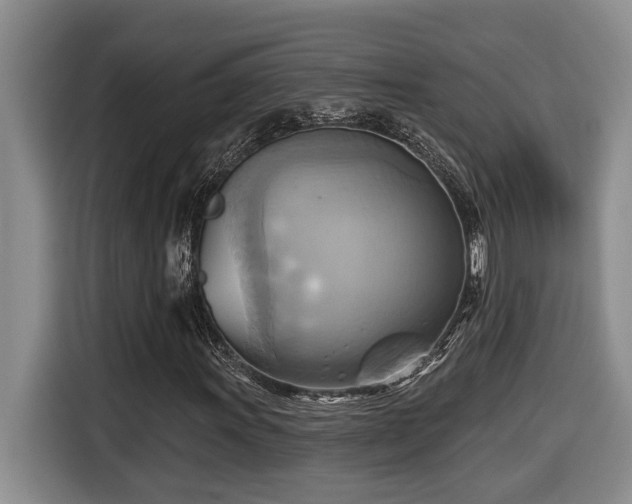 X0000116651011200912141251