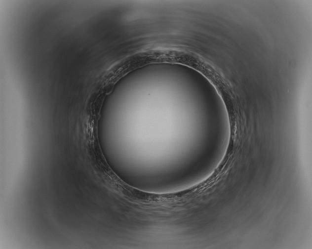 X0000116651013200912141251