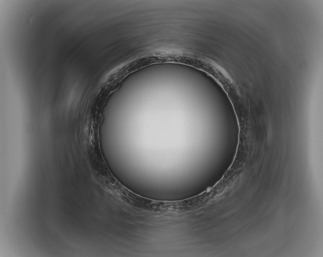 X0000116651016200912141251