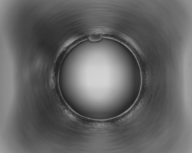 X0000116651018200912141251