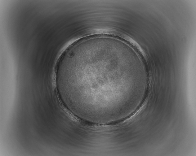 X0000116651019200912141251