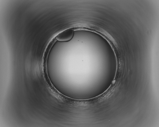 X0000116651020200912141251
