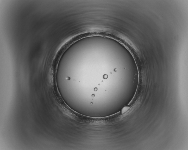 X0000116651021200912141251