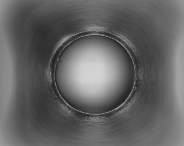 X0000116651022200912141251