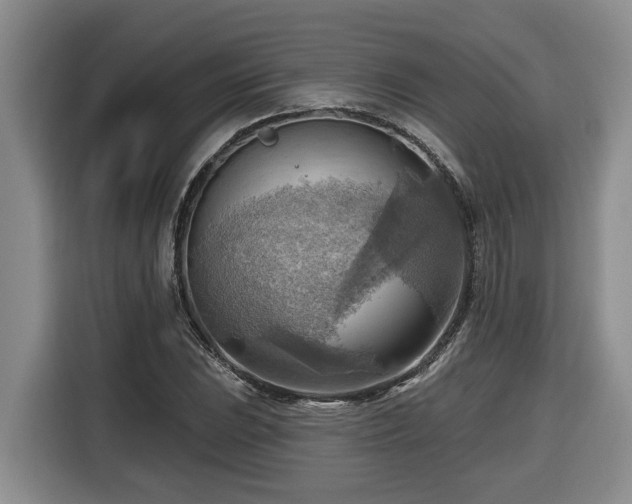 X0000116651023200912141251