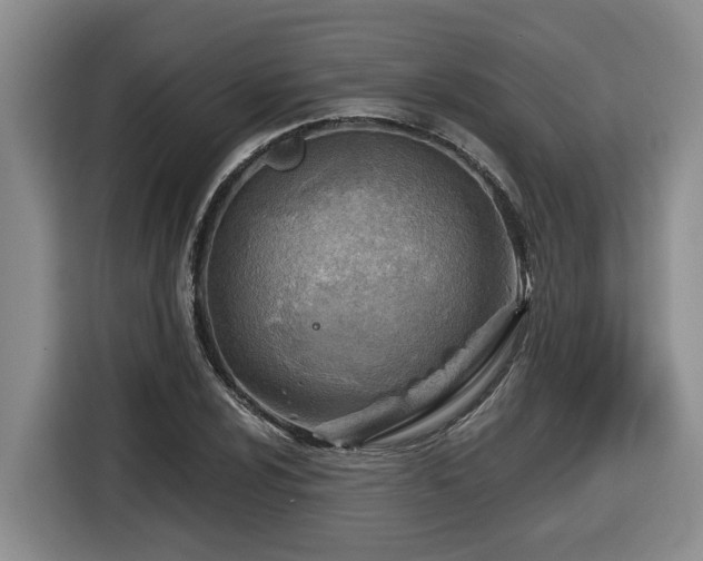 X0000116651024200912141251