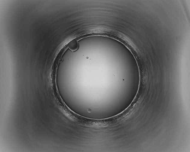 X0000116651026200912141251