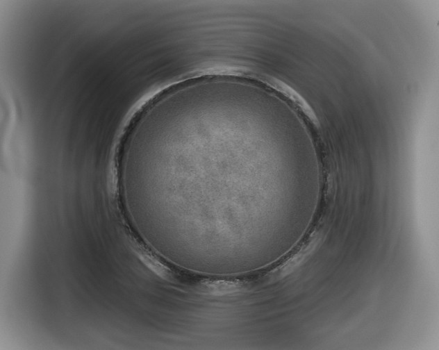 X0000116651027200912141251