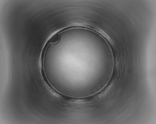 X0000116651028200912141251