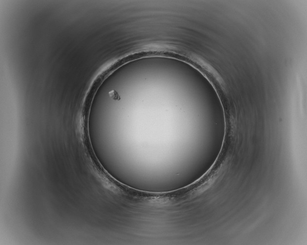 X0000116651029200912141251