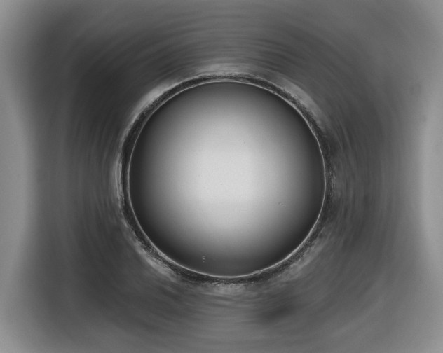 X0000116651030200912141251