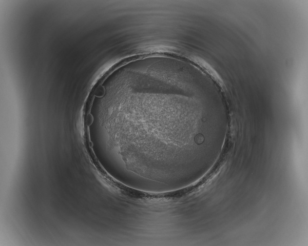X0000116651031200912141251