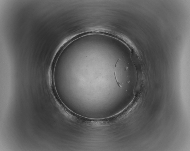 X0000116651032200912141251