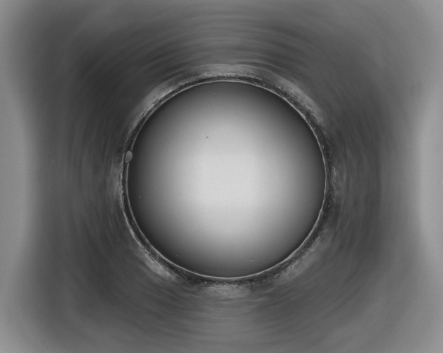 X0000116651033200912141251