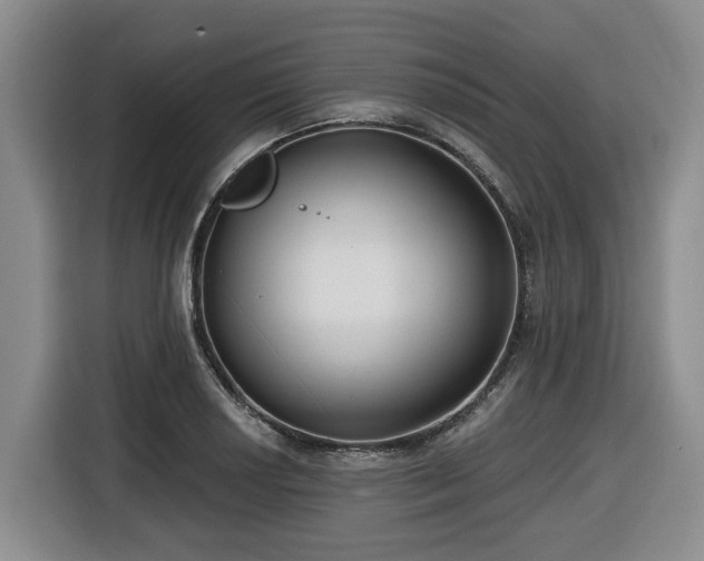 X0000116651034200912141251