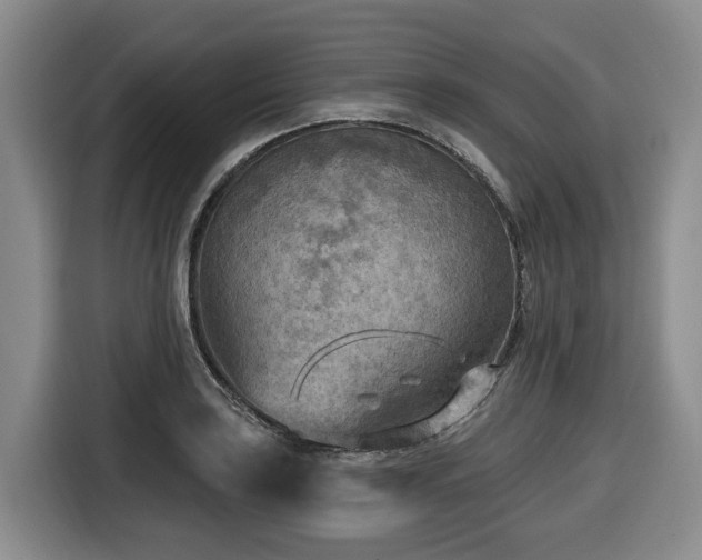 X0000116651035200912141251