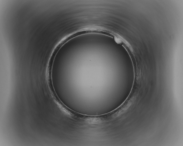 X0000116651037200912141251