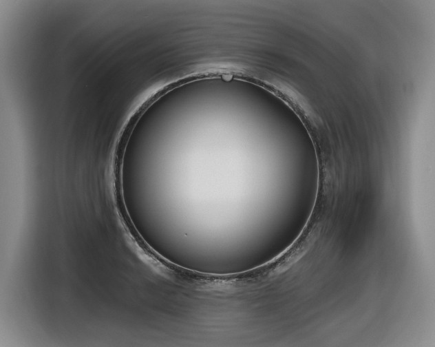 X0000116651038200912141251