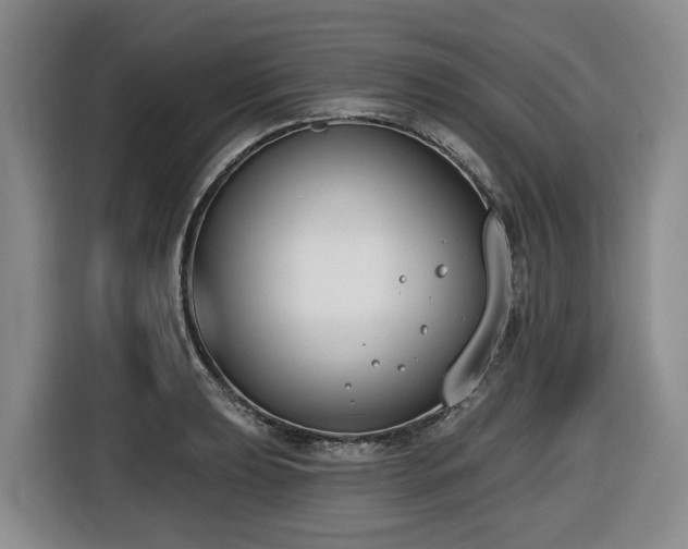 X0000116651039200912141251