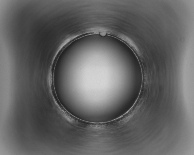 X0000116651040200912141251