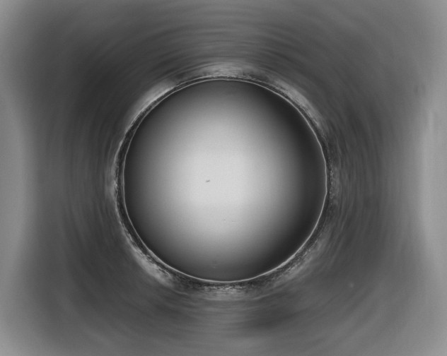 X0000116651042200912141251