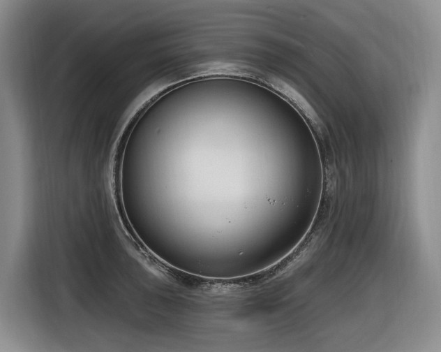 X0000116651043200912141251
