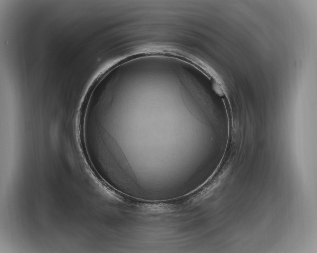 X0000116651045200912141251
