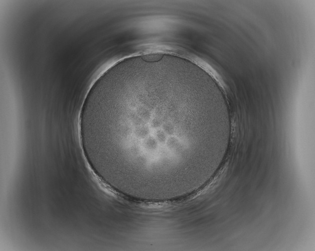 X0000116651047200912141251