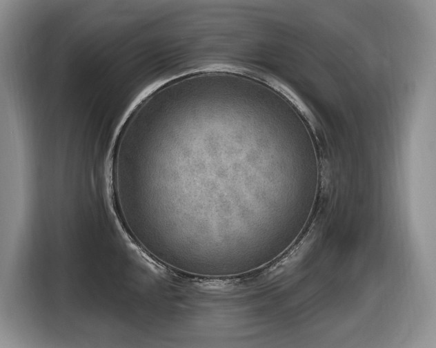 X0000116651048200912141251