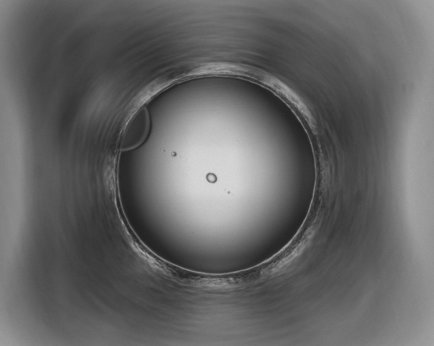X0000116651049200912141251