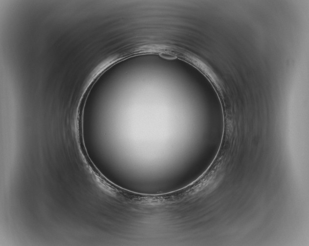 X0000116651050200912141251