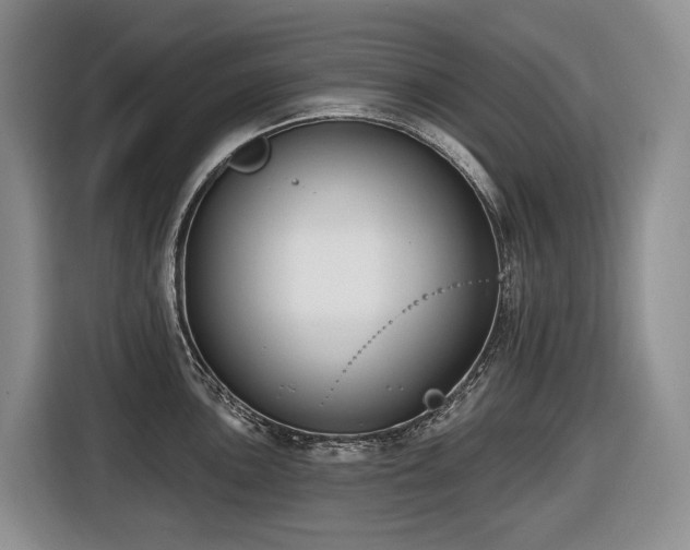 X0000116651051200912141251