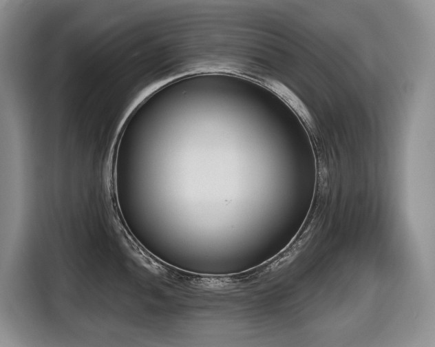 X0000116651052200912141251