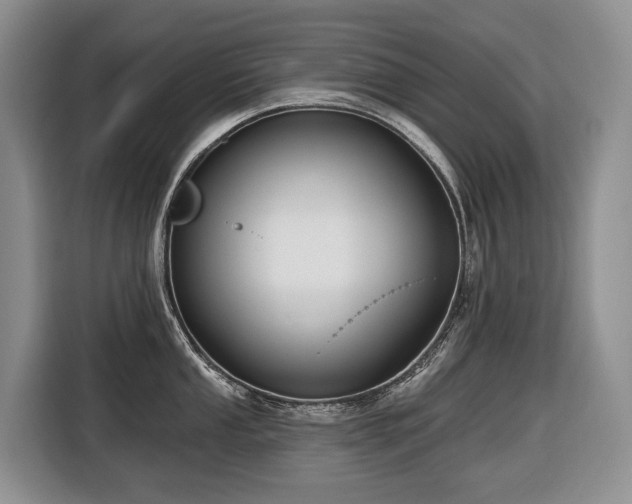 X0000116651053200912141251