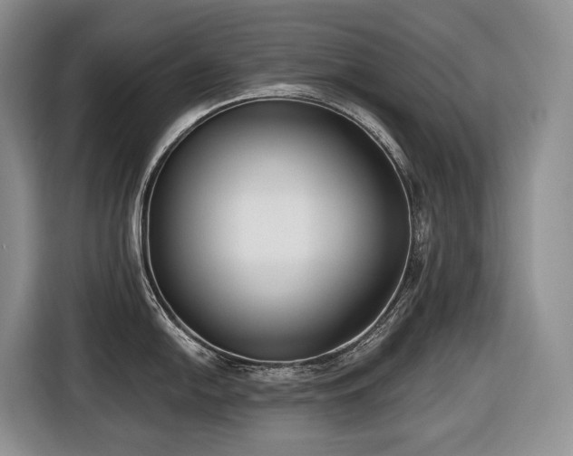 X0000116651054200912141251