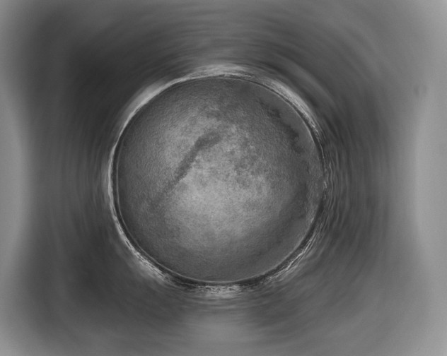 X0000116651055200912141251