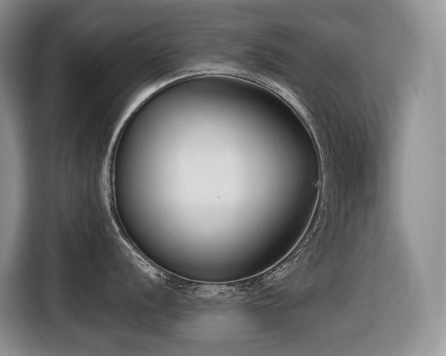 X0000116651056200912141251