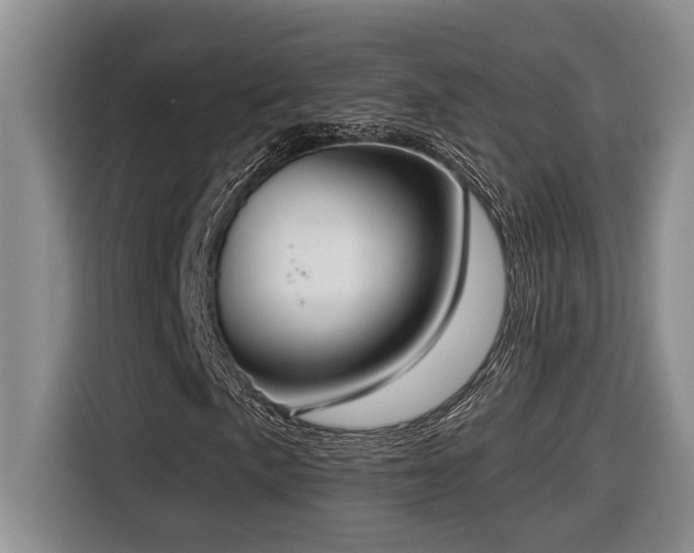 X0000116651057200912141251