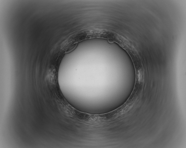 X0000116651059200912141251